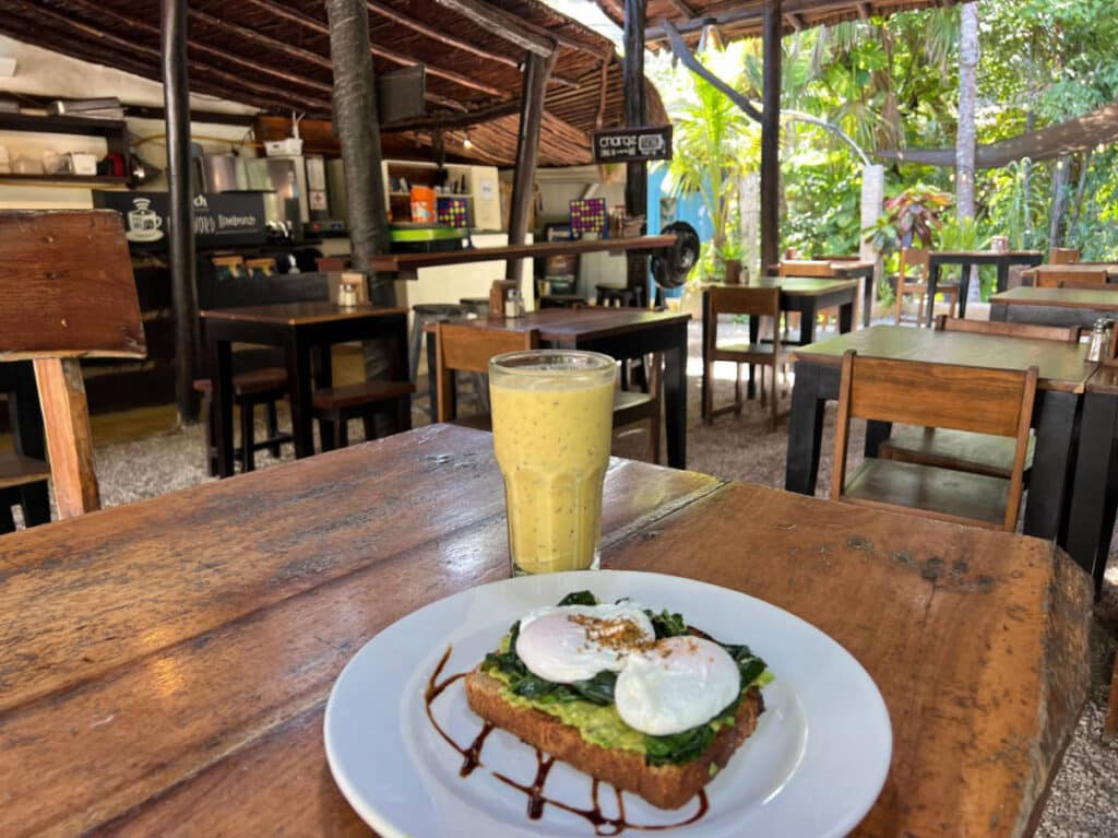 A vegetarian meal and drinks on a table served in Potheads Restaurant