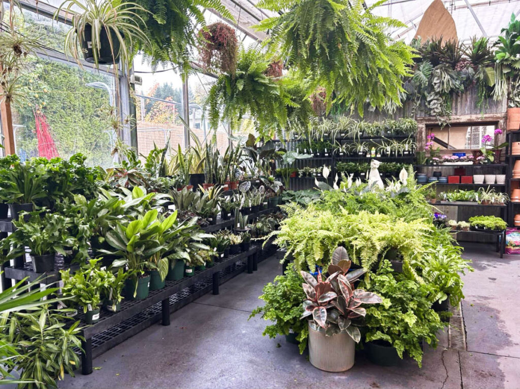 View of the potted plants displayed around the Bayview Garden