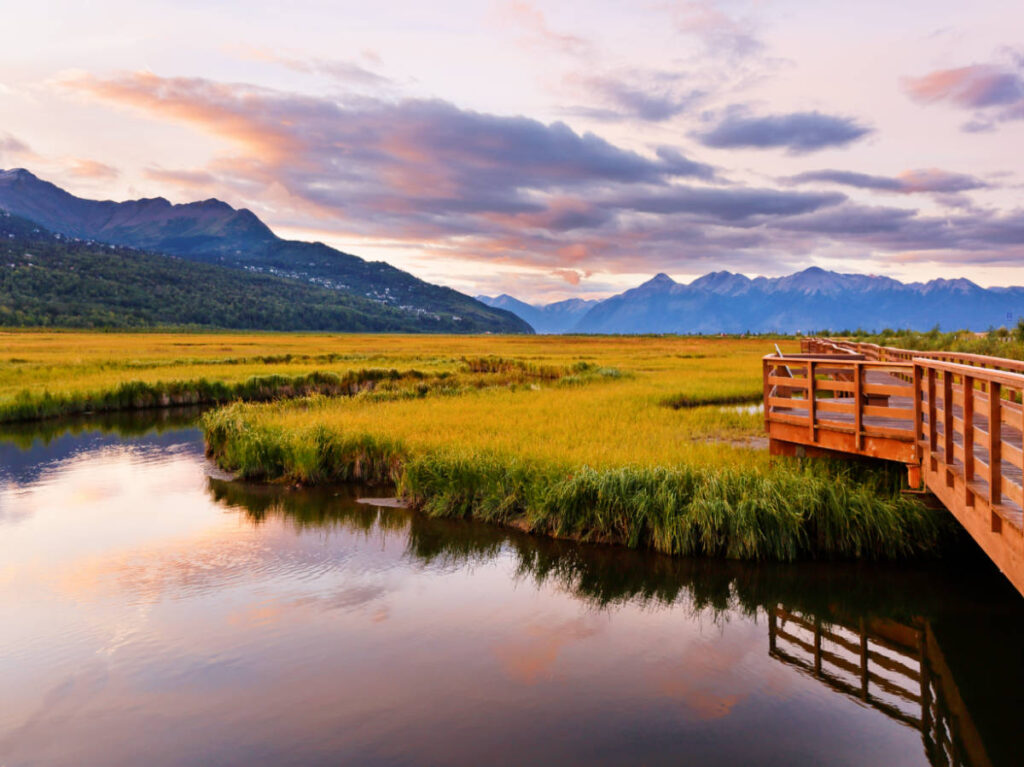 View at the Potter Marsh Bird Sanctuary during sunrise