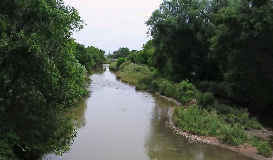 View from the Poudre River Trail