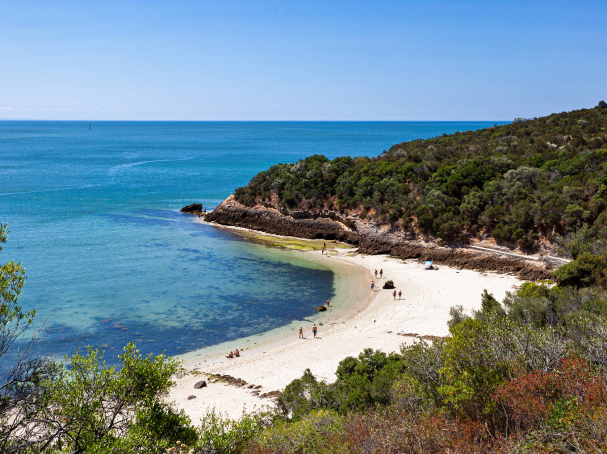 Aerial view of the white sand beach surrounded by greenery in Galapinhos Beach in Parque Natural da Arrábida