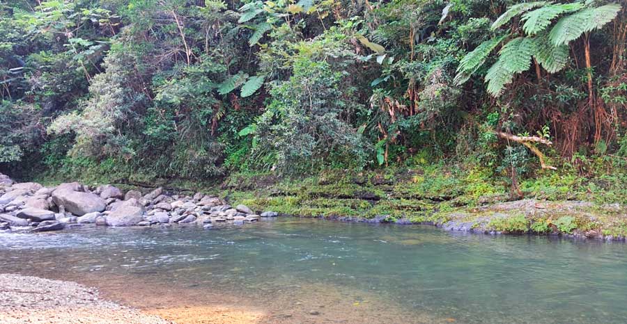 View from the Puente Roto in Luquillo