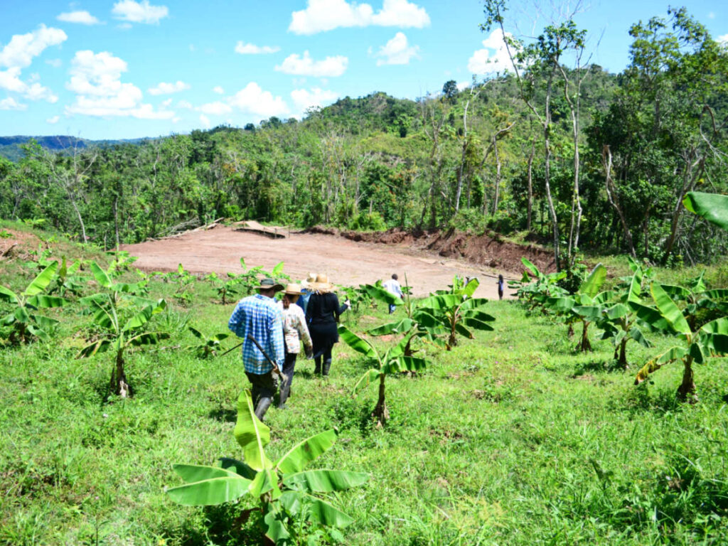A group of farmers walking in the mountain