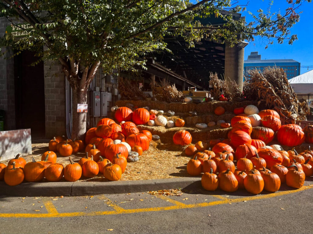 View of the pumpkins displayed at the Nashville Farmers Market