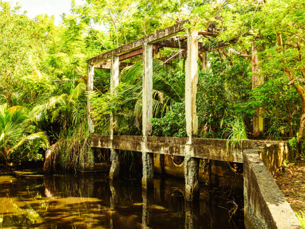 Closeup look of the ruins surrounded by greenery in Punta Santiago Nature Reserve