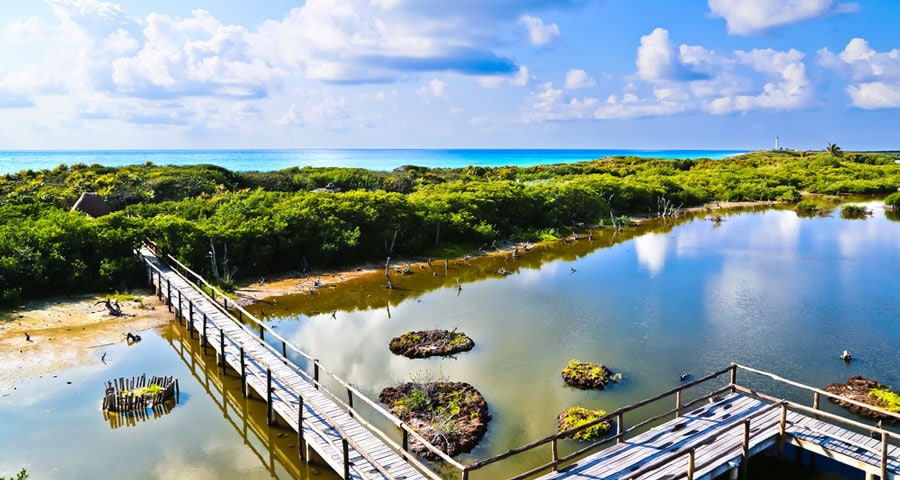 Aerial view of the crocodile lagoon in Punta Sur Eco Beach Park