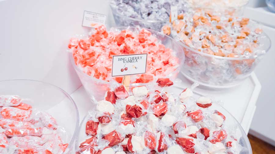 Different color candies in Purple Mountain Taffy Company