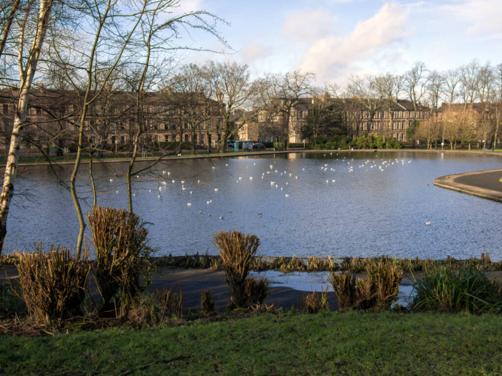 Early morning view of the pond in Queen’s Park