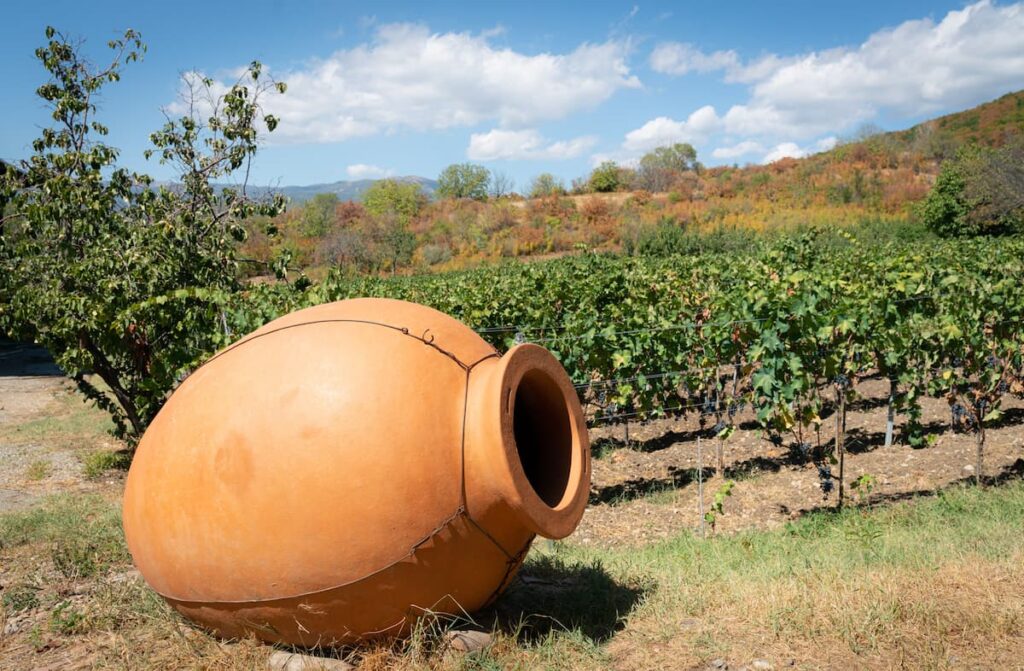 View of vineyard and large wine gourd in Signagi