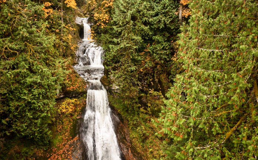 Spectacular view of the tall Racehorse Falls plunges down the mountain during the fall season
