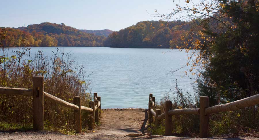View of a pathway leading to Radnor Lake