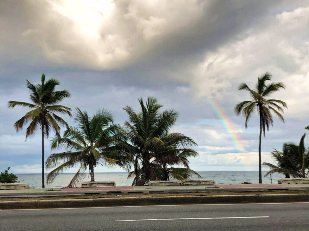 A rainbow over the ocean with palm trees around