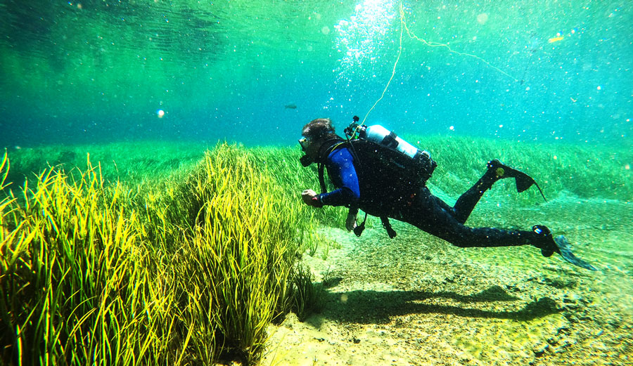 A scuba diver under the Rainbow River