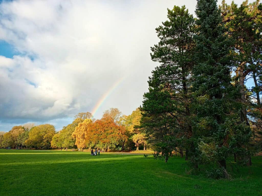 A rainbow seen from the Bute Park