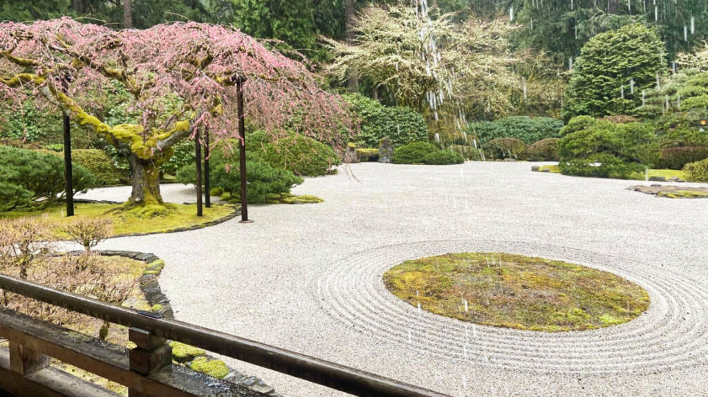View of the heavy rain at the Portland Japanese Garden