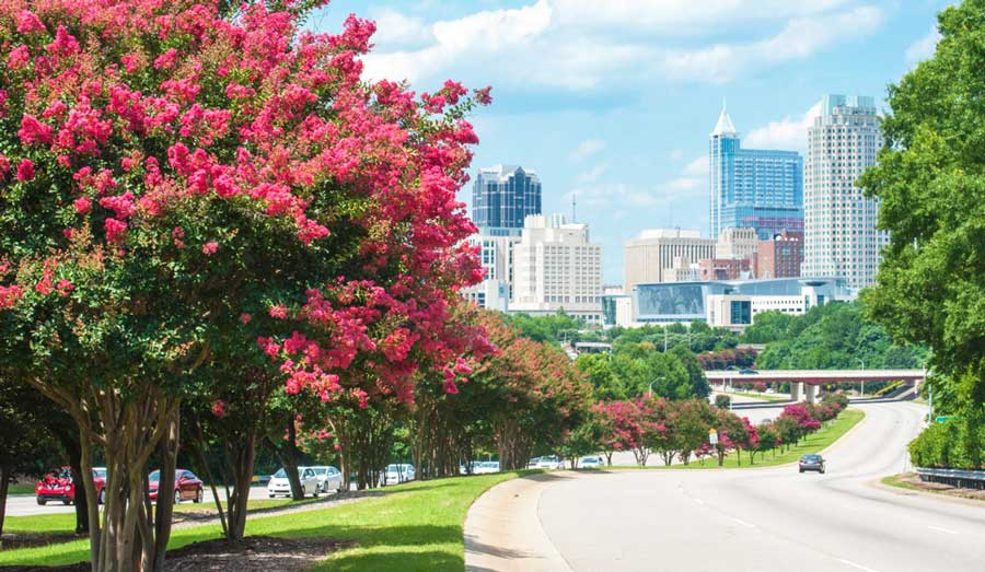 The Raleigh skyline in North Carolina during summer season