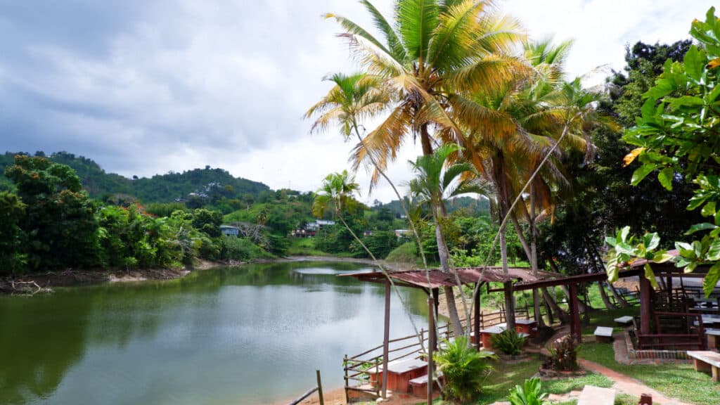 Overlooking view of the ranch near the lake in Naranjito