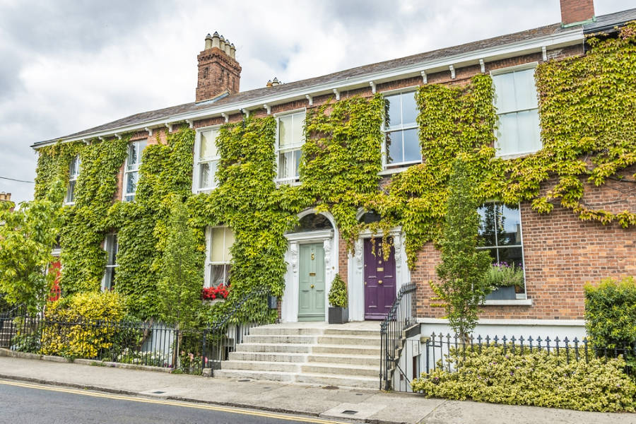 Exterior view of a building with vines around in Ranelagh District