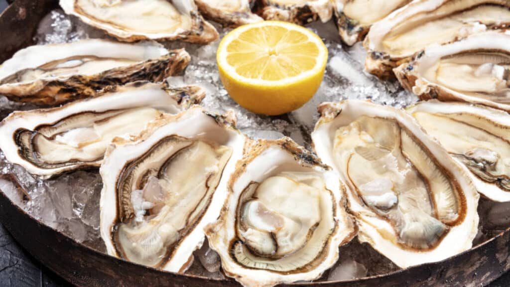 Closeup view of the huge platter of raw oysters with sliced lemon in the middle