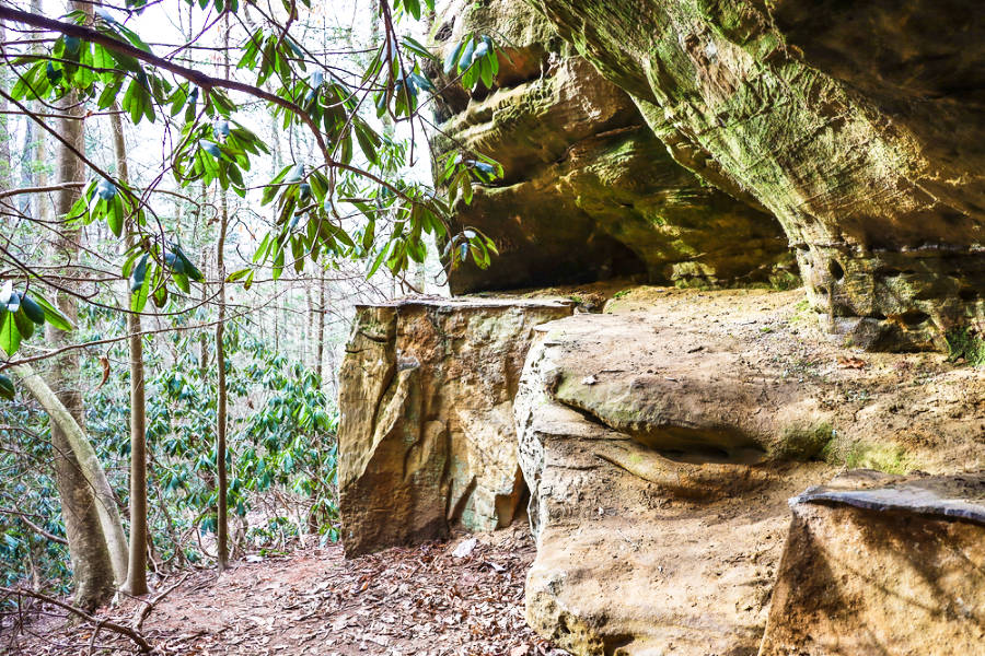 The sandstone bluffs at the Red River Gorge Geological Area
