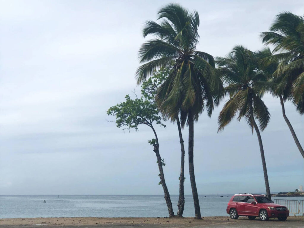 A red SUV under the palm trees along the beach