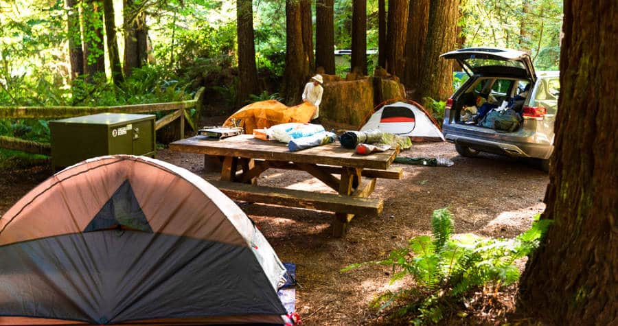 A camper, car, and tents inside the camping site of Redwood National Park