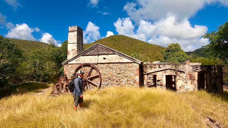 The author in Reef Bay Sugar Mill Ruins