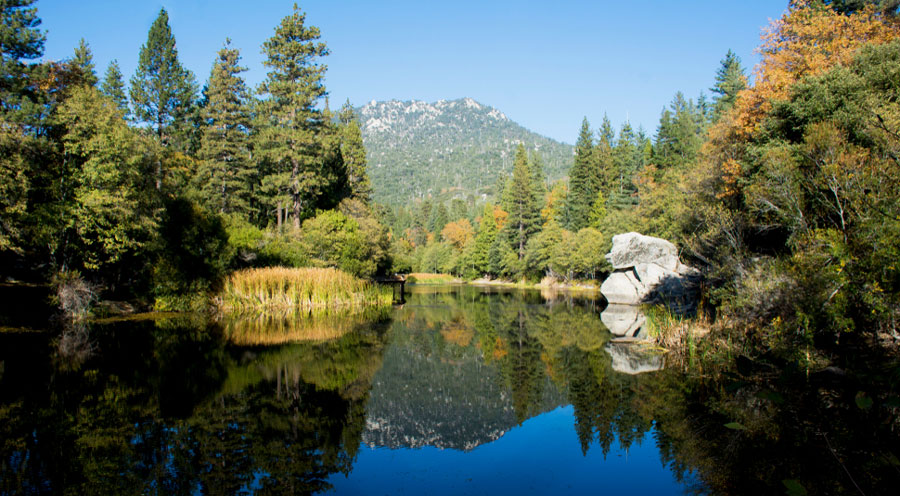 Scenic view from Reflective Lake
