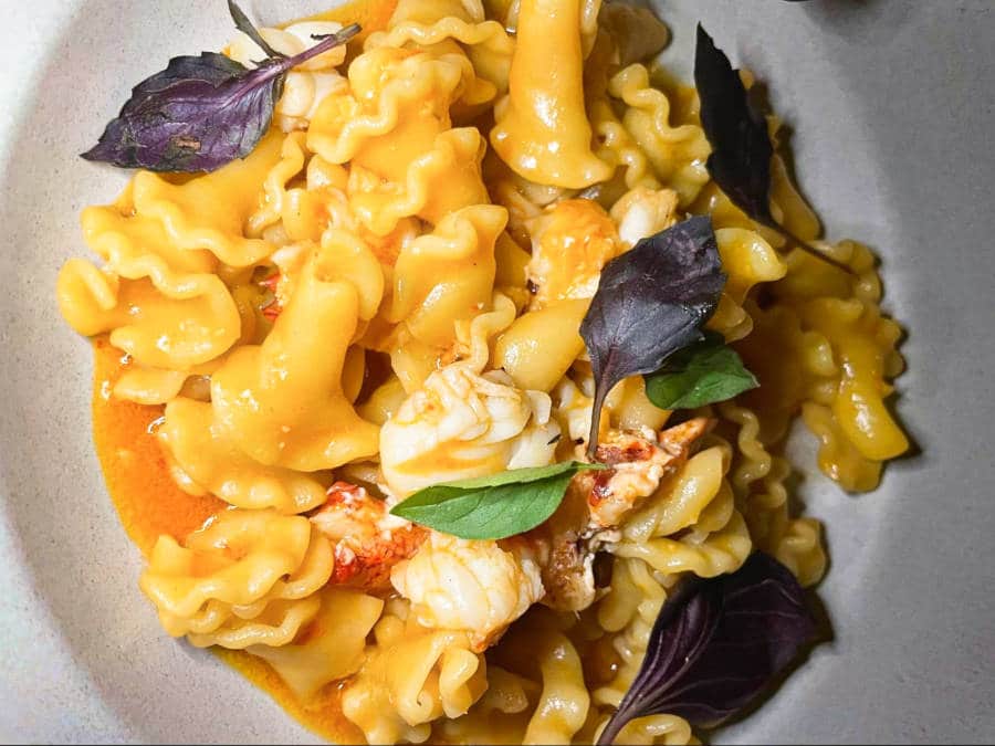 A serving of Campanelle pasta with lobster and fresh herbs in République