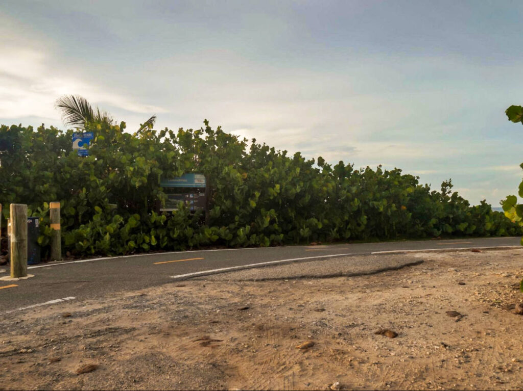 View of the bike trail surrounded by the lush greenery of Reserva Natural Comunitaria Mabodamaca