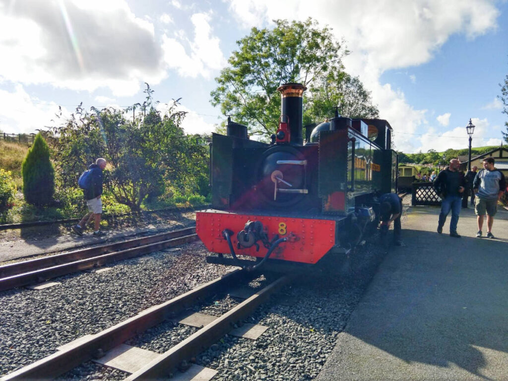 View of the Rheidol Train in front