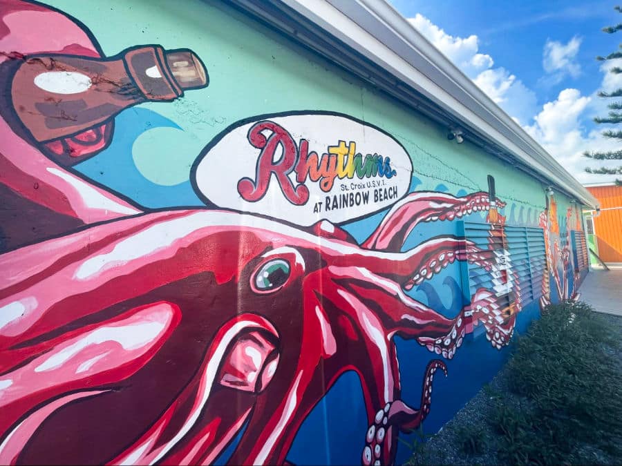 A hand-painted full wall of a big octopus holding a bottle and Rhythms name at Rainbow Beach