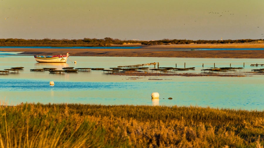 Sunset view of a boat at the beach of Ria Formosa Natural Park