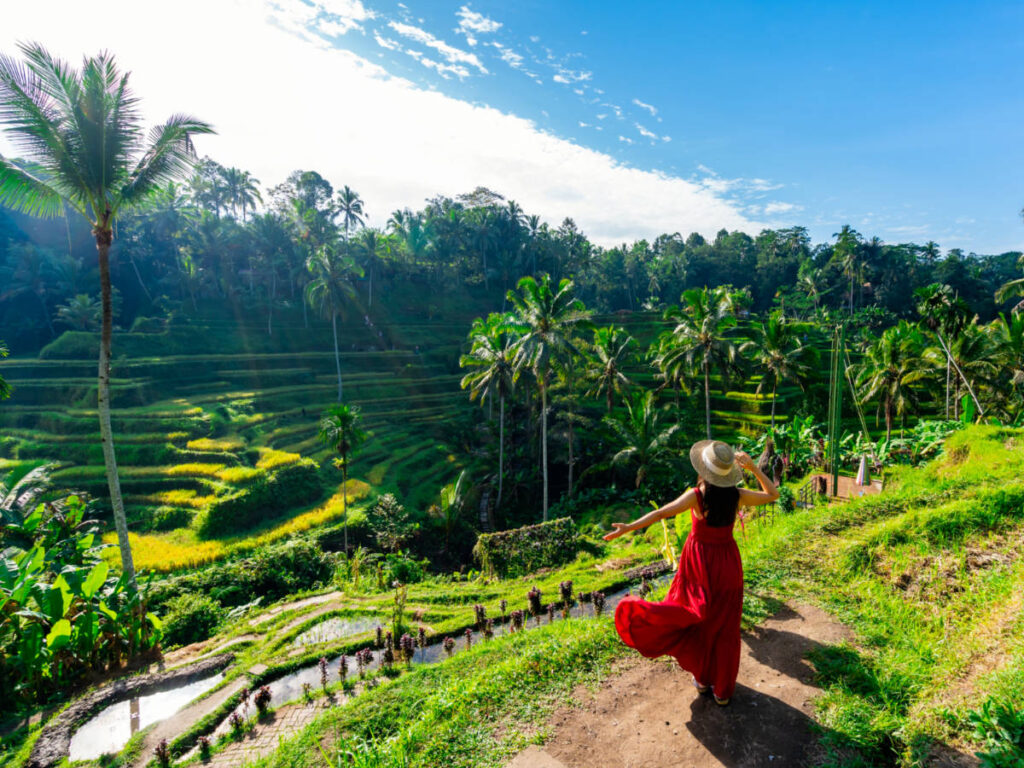 Female tourist in red dress looking at the beautiful rice terraces in Bali