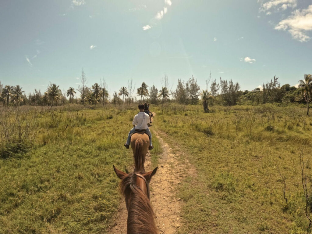 Visitors riding horses through coastal forests of Isabela