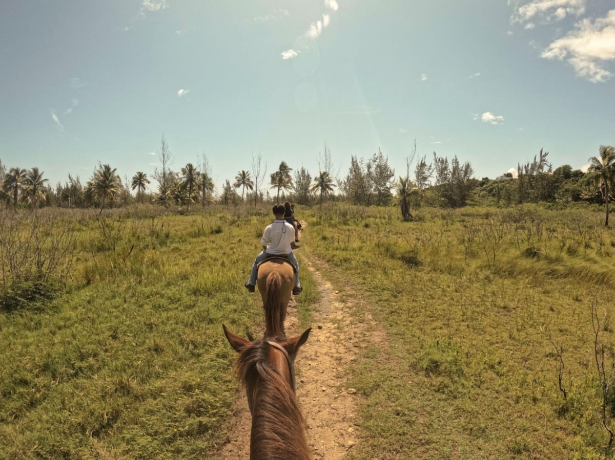 Visitors riding horses through coastal forests of Isabela