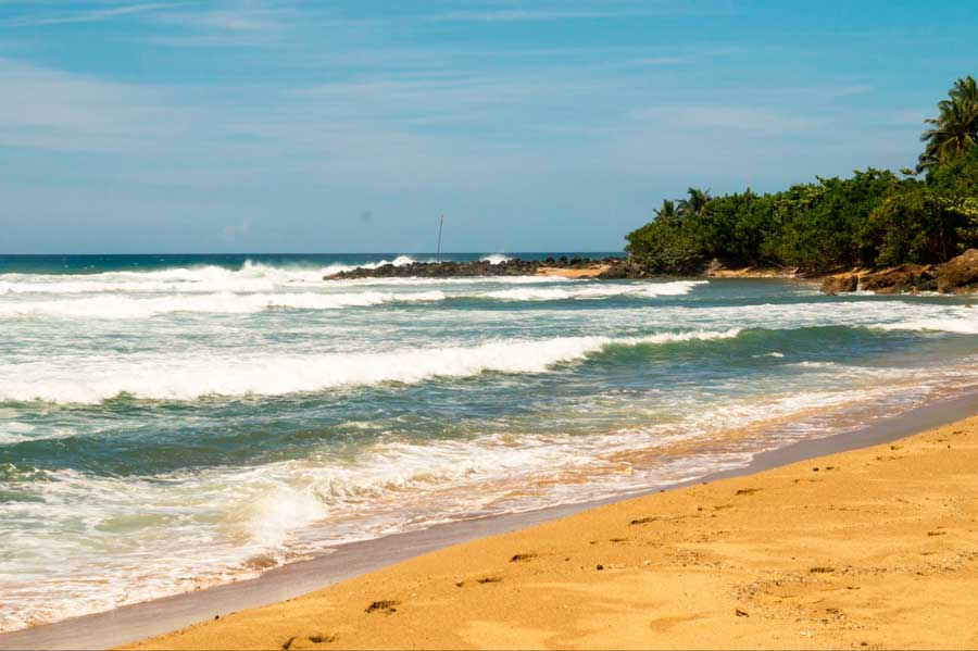 View of the empty Domes Beach in Rincon