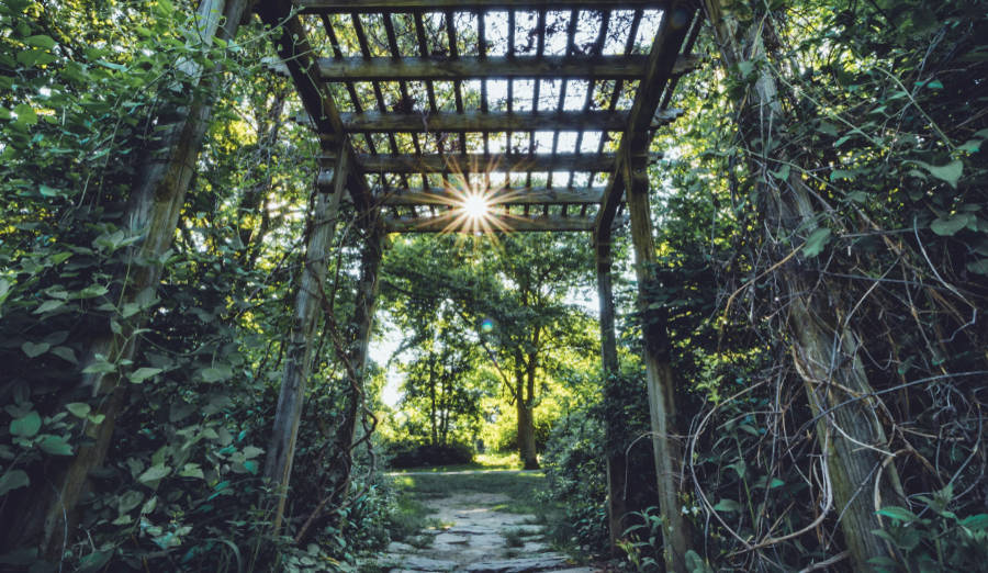 A pergola and the sun rising in Ringwood State Park
