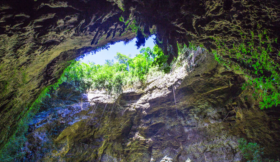 View of the Rio Camuy Cave from the inside