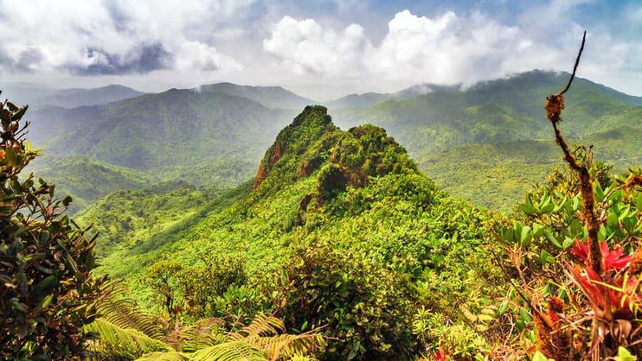 Panoramic view over the hills in the rainforest of Puerto Rico