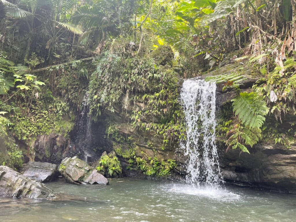 Scenic view of a waterfall in Rio Grande