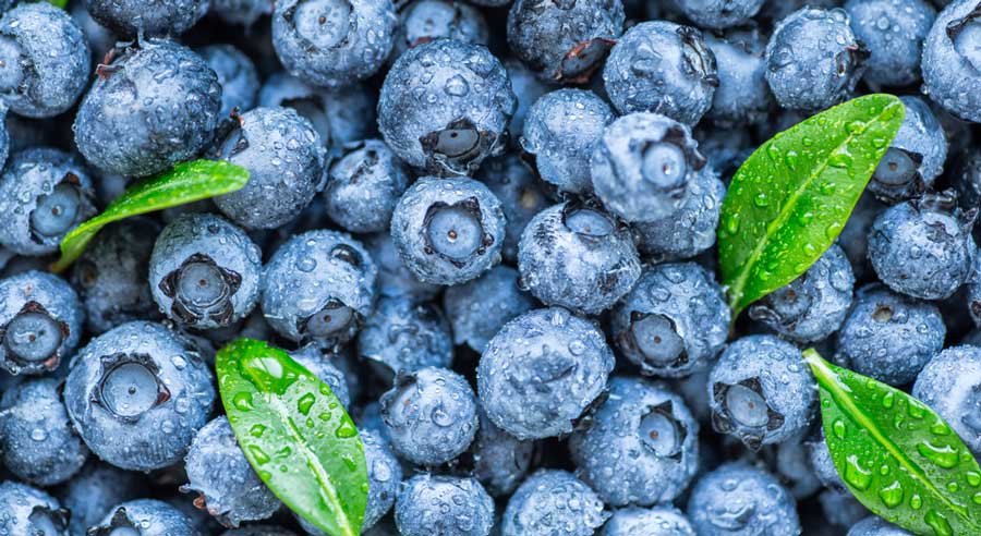 Water droplets on fresh ripe blueberries