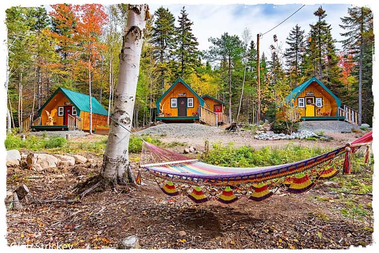 View of River Nest Cabins with hammock