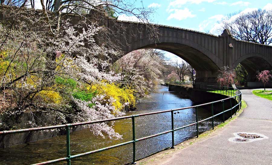 A river passes through Branch Brook Park