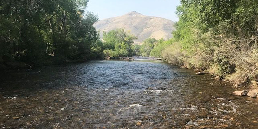 A water running along a river in Denver West