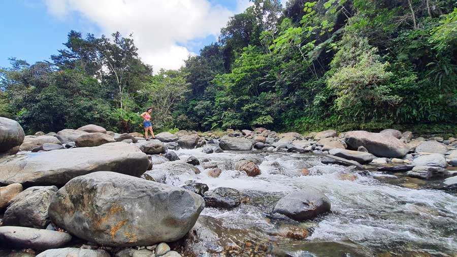 The author in a rocky river in El Yunque