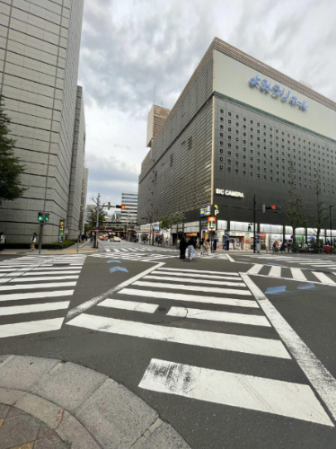 View of a pedestrian lane in Tokyo
