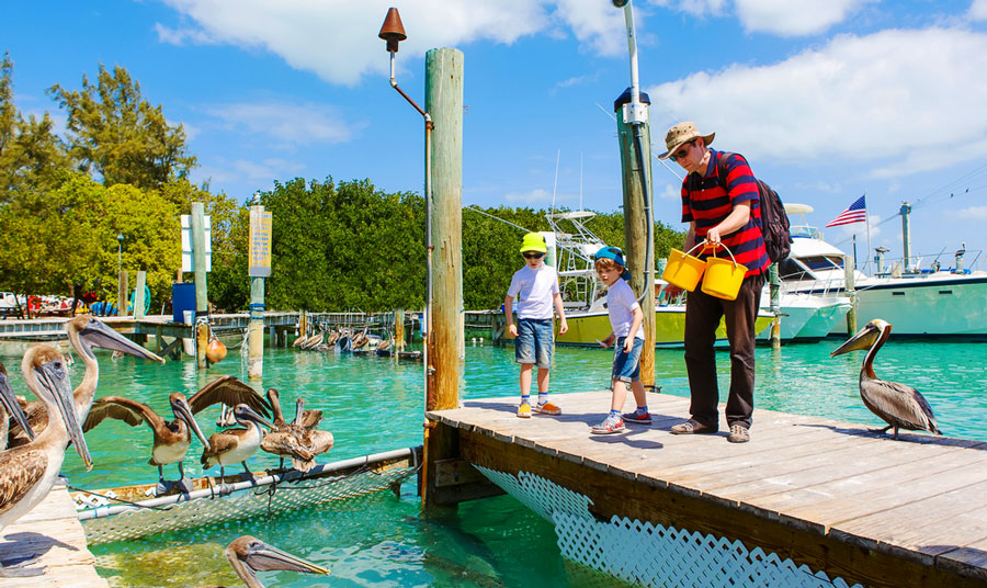 View of a father with his sons feeding pelicans
