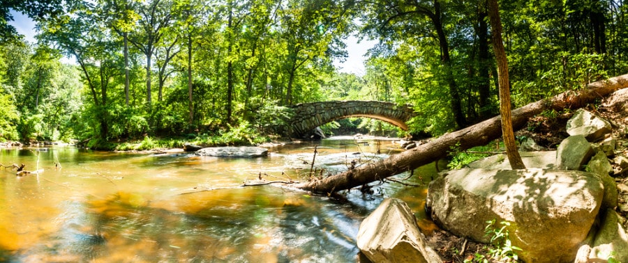 Panoramic view of the Boulder Bridge in the distance in Rock Creek Park on a sunny day