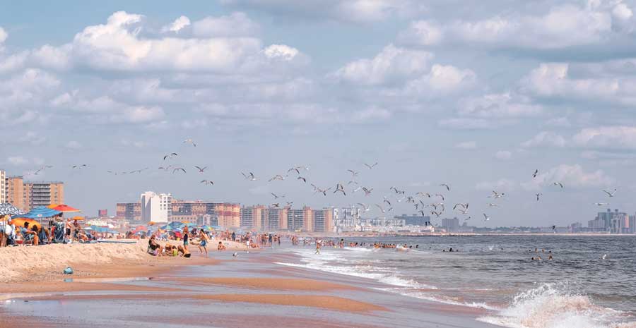 Birds flying over the Rockaway Beach